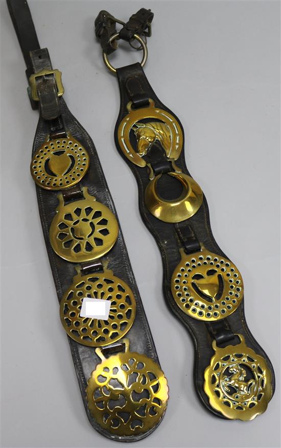 Two Martingale straps
